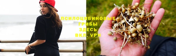 apvp Алексин