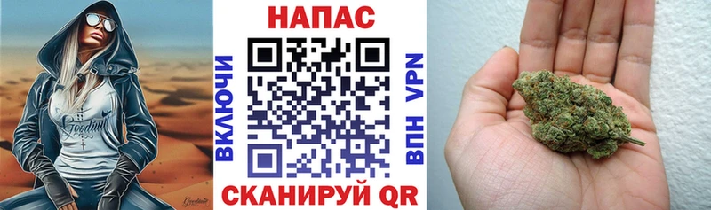 Бошки Шишки Amnesia  ОМГ ОМГ tor  Курчалой 